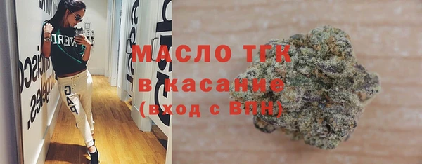 стаф Пересвет