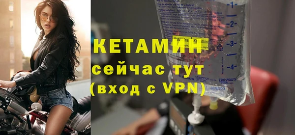 стаф Пересвет