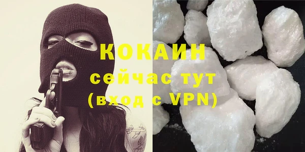 стаф Пересвет