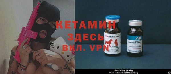 стаф Пересвет
