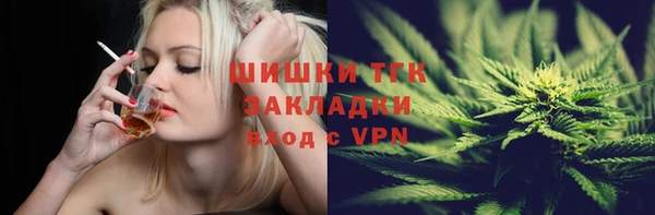 стаф Пересвет