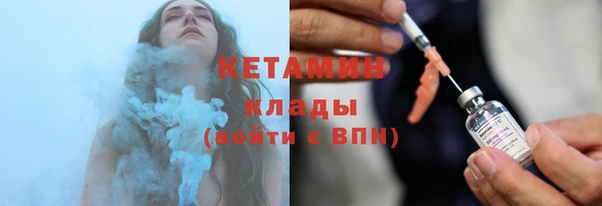стаф Пересвет
