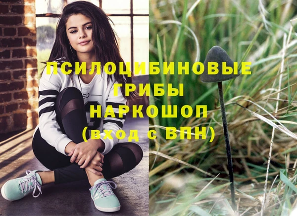 стаф Пересвет