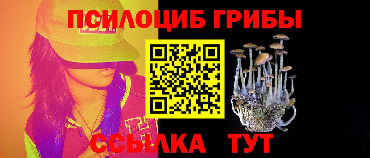 Псилоцибиновые грибы GOLDEN TEACHER  Вход с VPN  как найти   Серов 